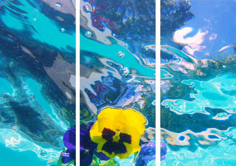 Submerged 18