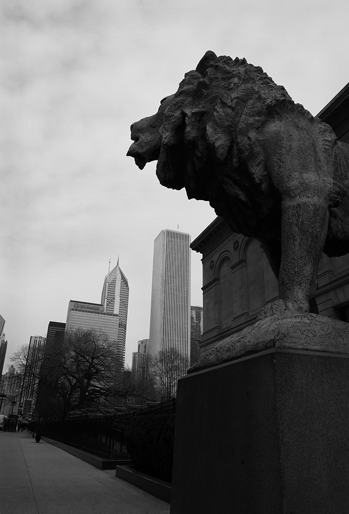 Protector