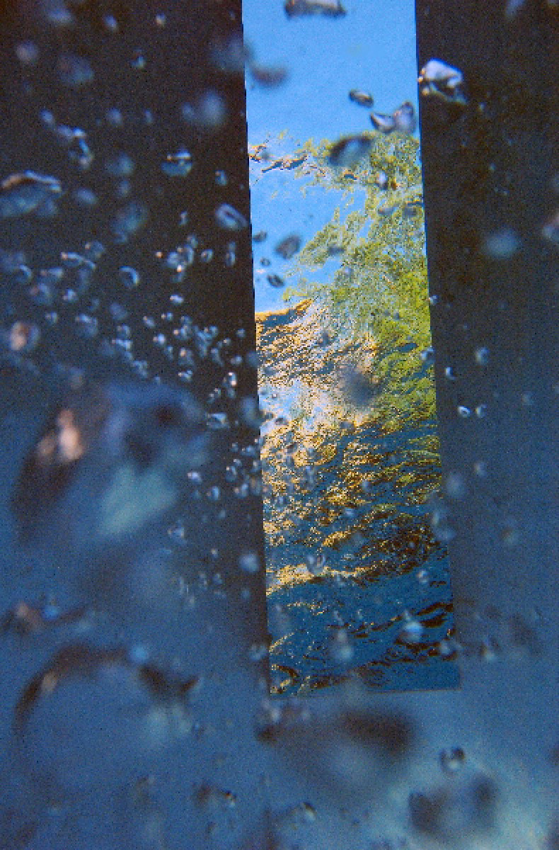 Reflection #58