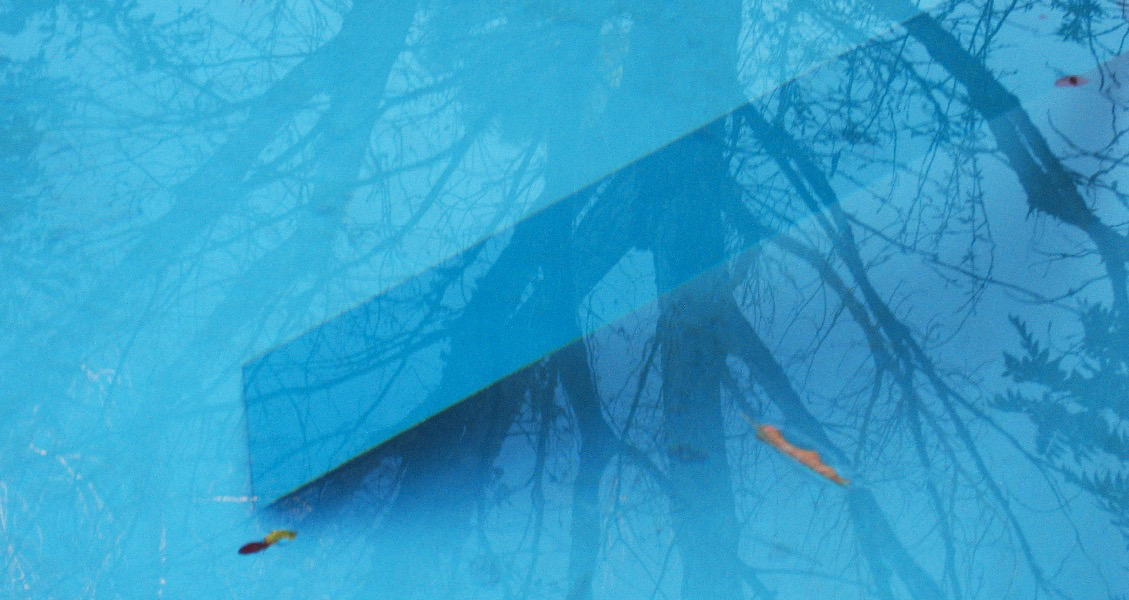 Reflection #75
