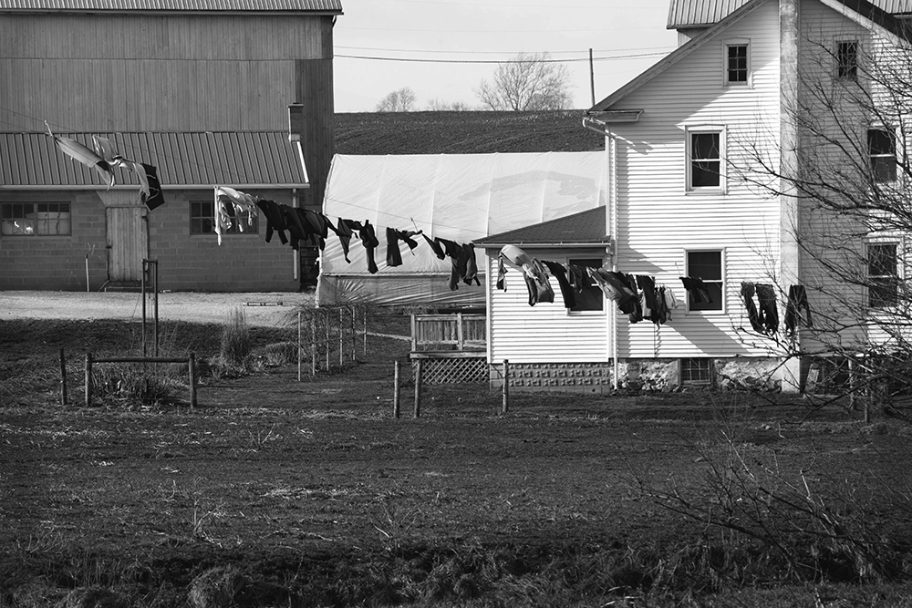 Wash and Dry