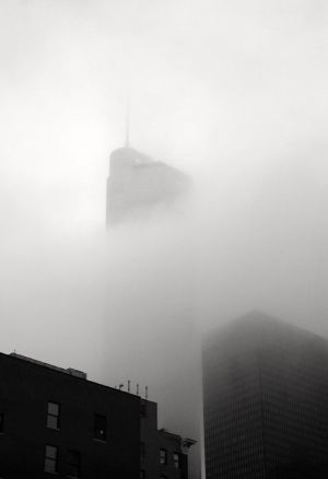 Trump Tower From Fados