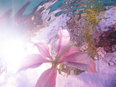 Toward the Sublime