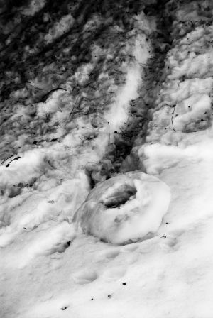 Tracks